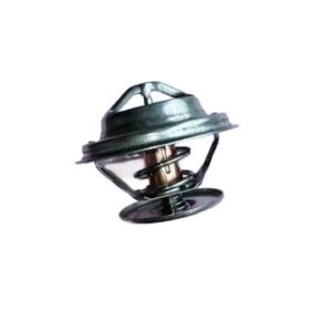 6BG1  6BD1 Thermostat(65C)