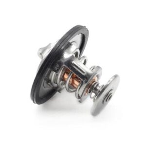 6SD1 Thermostat