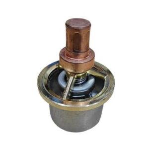 DH220-3 Thermostat(Small)